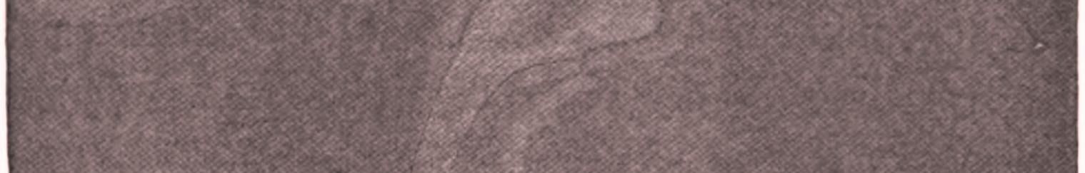 Cover of 'The Call of the Wild' by Jack London